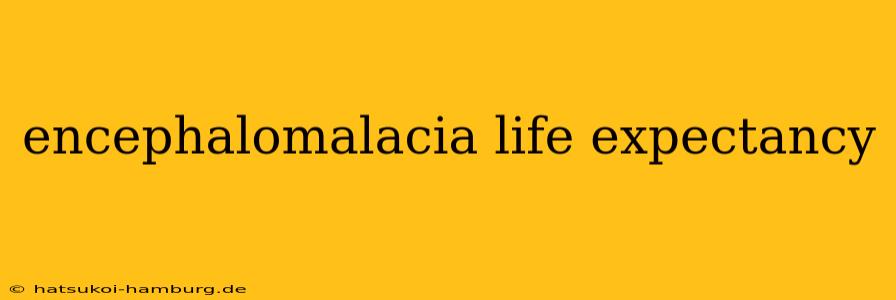 encephalomalacia life expectancy
