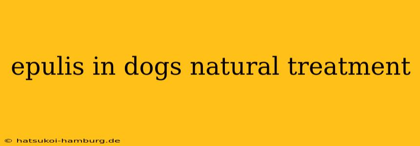 epulis in dogs natural treatment