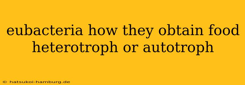 eubacteria how they obtain food heterotroph or autotroph