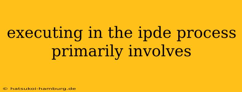 executing in the ipde process primarily involves