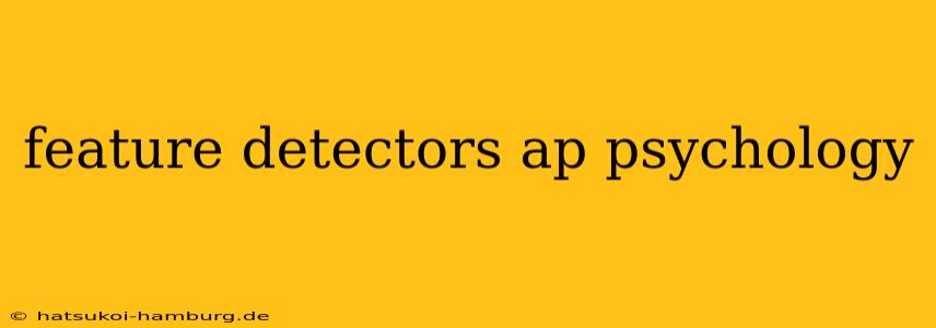 feature detectors ap psychology