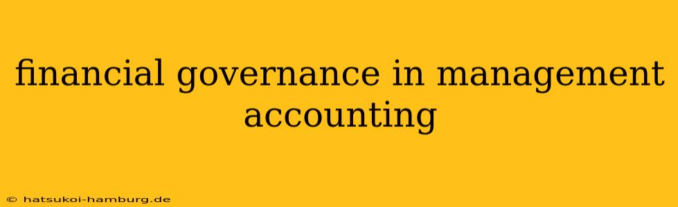 financial governance in management accounting