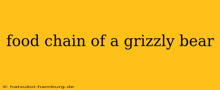 food chain of a grizzly bear