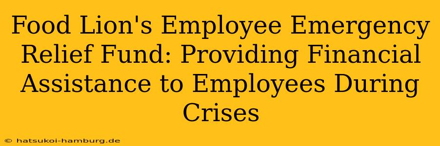 Food Lion's Employee Emergency Relief Fund: Providing Financial Assistance to Employees During Crises
