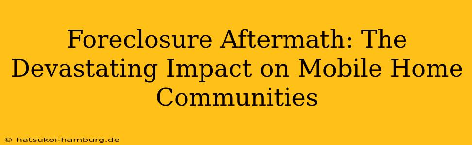Foreclosure Aftermath: The Devastating Impact on Mobile Home Communities