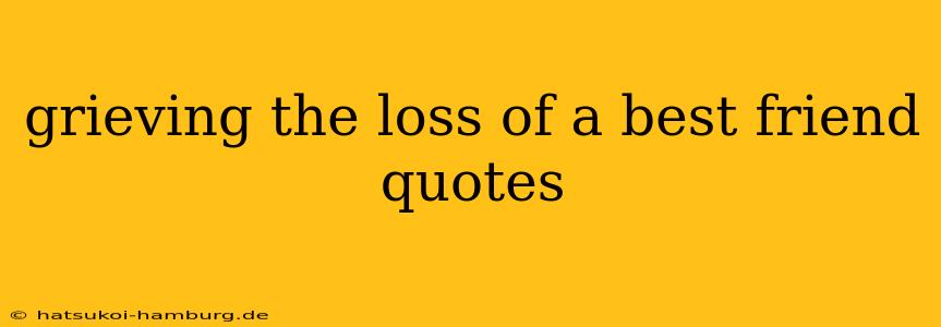 grieving the loss of a best friend quotes