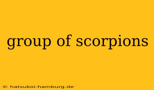group of scorpions