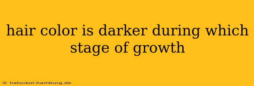 hair color is darker during which stage of growth