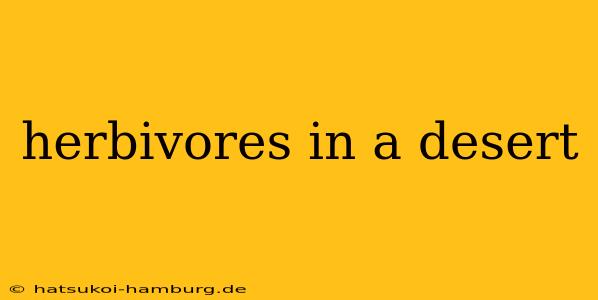herbivores in a desert