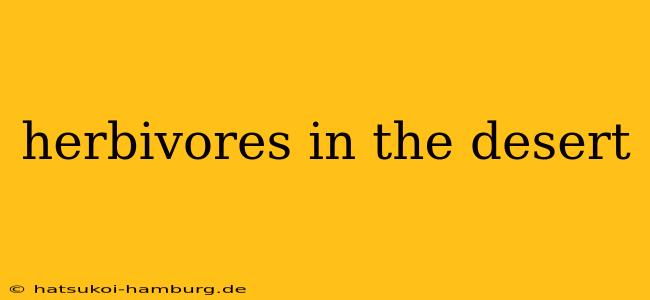 herbivores in the desert