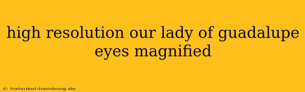 high resolution our lady of guadalupe eyes magnified