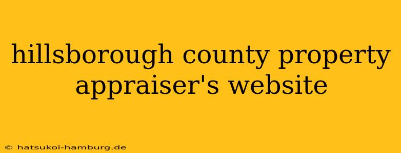 hillsborough county property appraiser's website