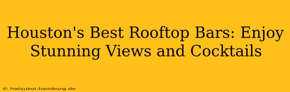 Houston's Best Rooftop Bars: Enjoy Stunning Views and Cocktails
