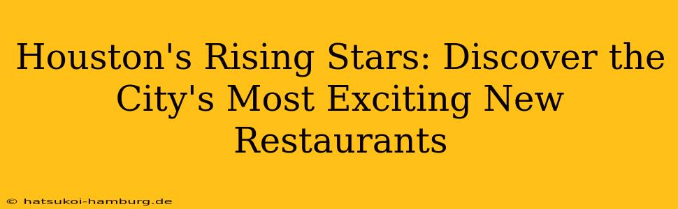 Houston's Rising Stars: Discover the City's Most Exciting New Restaurants
