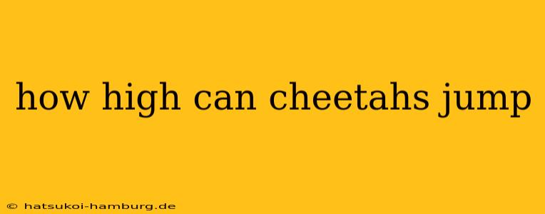 how high can cheetahs jump