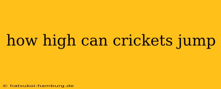 how high can crickets jump