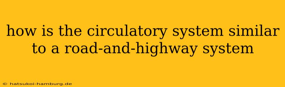 how is the circulatory system similar to a road-and-highway system