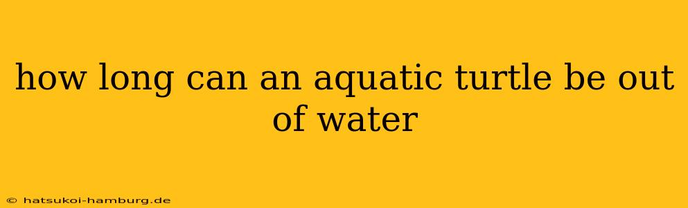 how long can an aquatic turtle be out of water