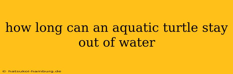 how long can an aquatic turtle stay out of water