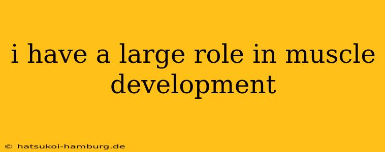 i have a large role in muscle development