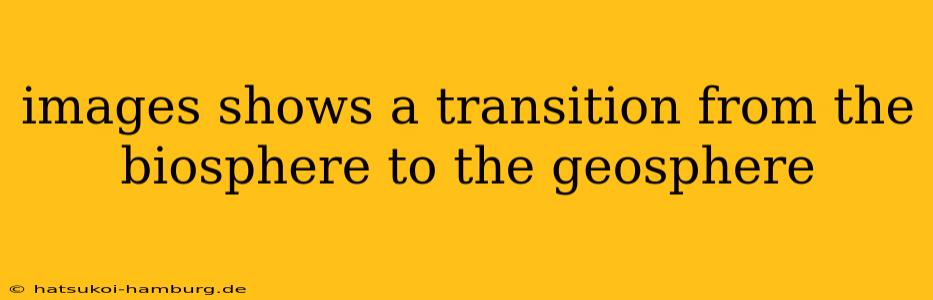 images shows a transition from the biosphere to the geosphere