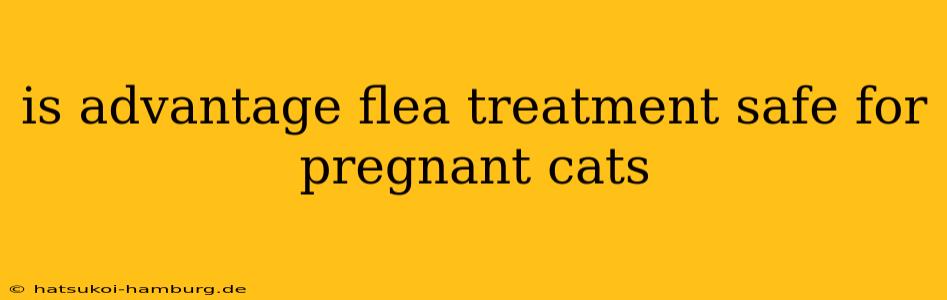 is advantage flea treatment safe for pregnant cats