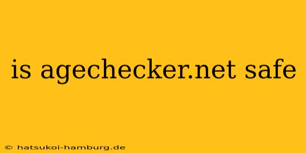 is agechecker.net safe