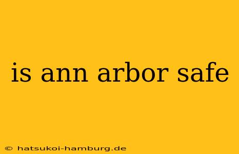is ann arbor safe