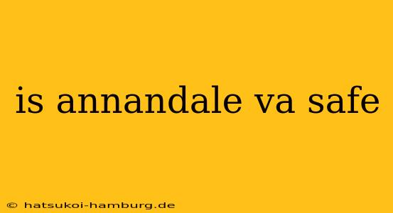 is annandale va safe