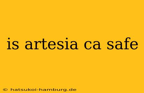 is artesia ca safe