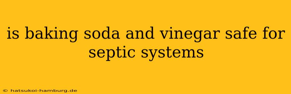 is baking soda and vinegar safe for septic systems