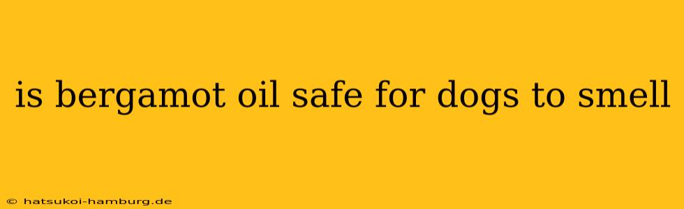 is bergamot oil safe for dogs to smell