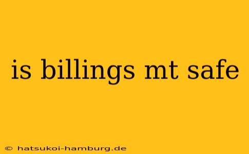 is billings mt safe