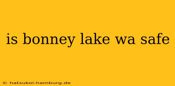is bonney lake wa safe