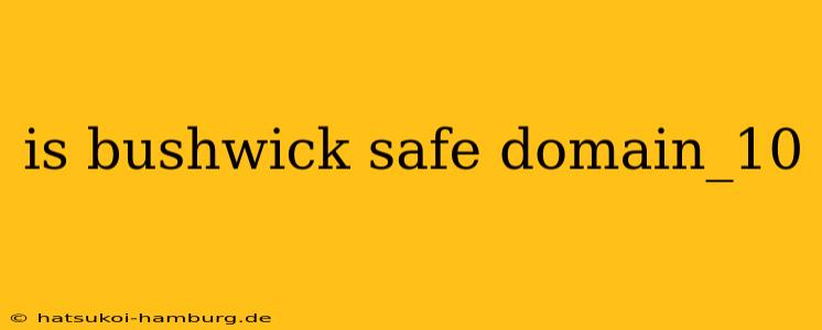 is bushwick safe domain_10