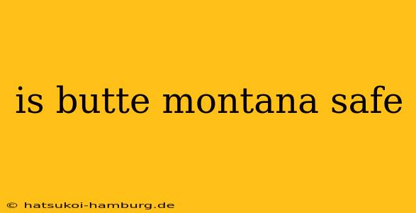 is butte montana safe