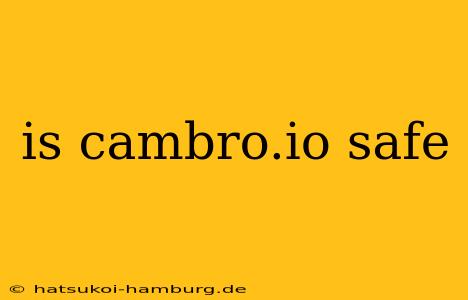is cambro.io safe