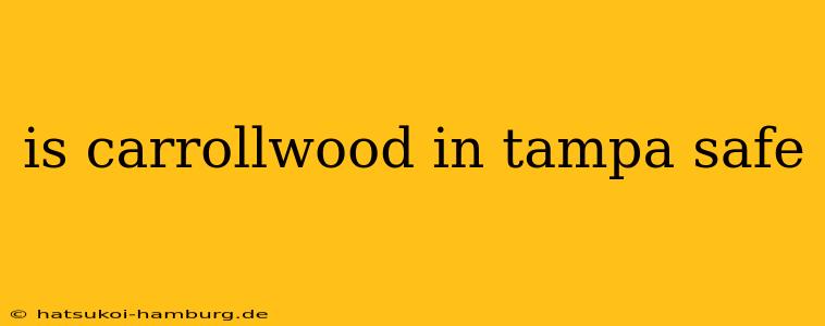 is carrollwood in tampa safe