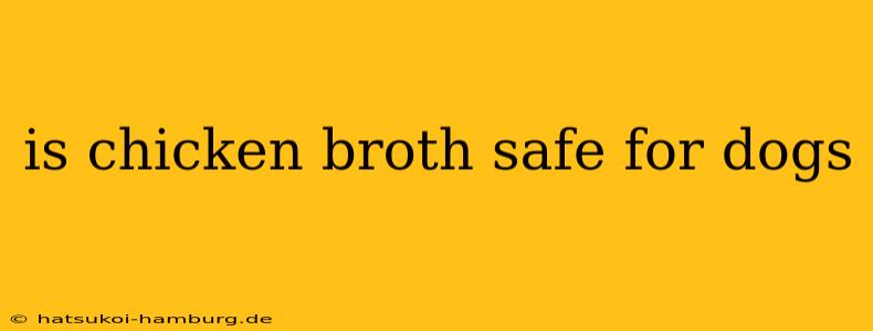 is chicken broth safe for dogs