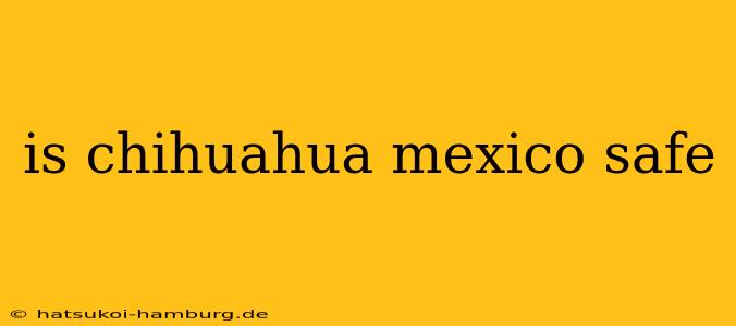 is chihuahua mexico safe
