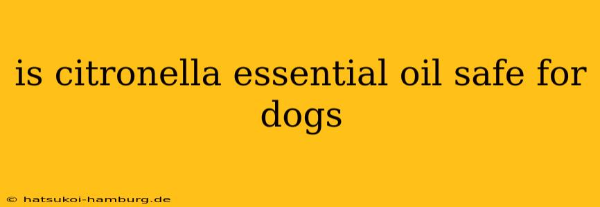 is citronella essential oil safe for dogs
