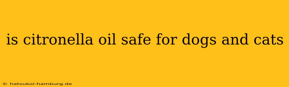 is citronella oil safe for dogs and cats