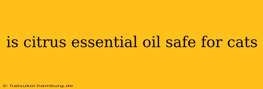 is citrus essential oil safe for cats
