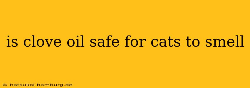 is clove oil safe for cats to smell