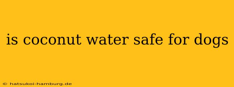 is coconut water safe for dogs