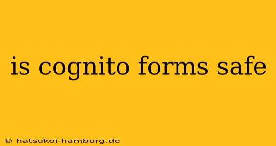 is cognito forms safe