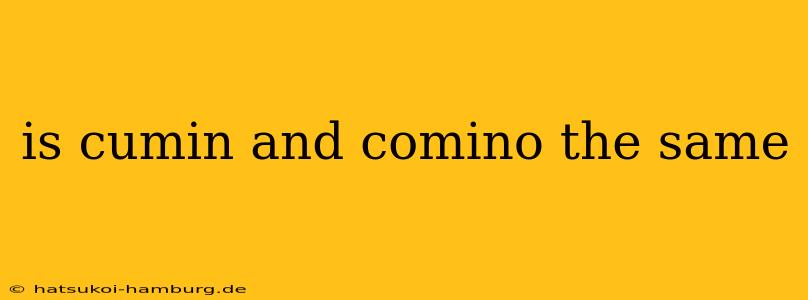 is cumin and comino the same