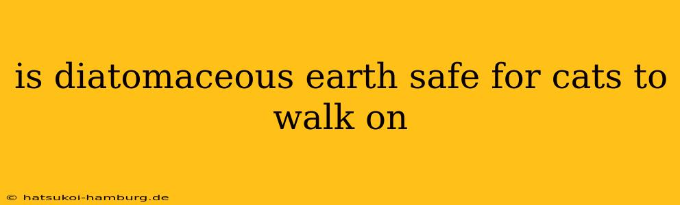is diatomaceous earth safe for cats to walk on