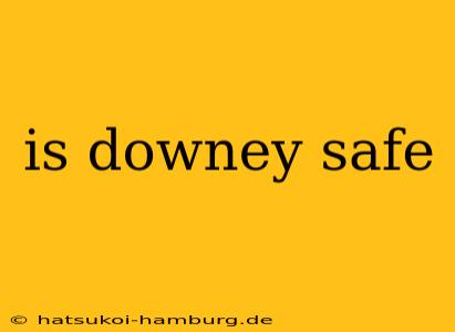 is downey safe
