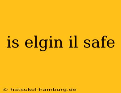 is elgin il safe